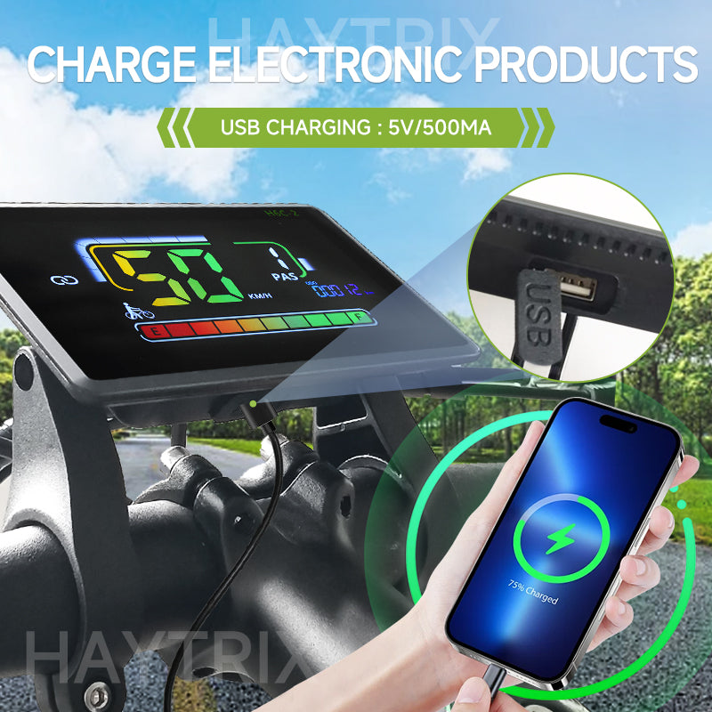 H6C-2Bluetooth Lcd Cycling Computer UART2 24/36/48/60V Single Motor